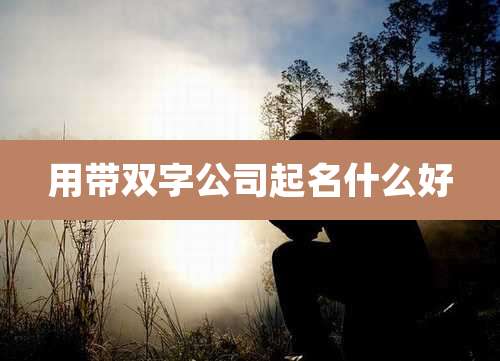 用带双字公司起名什么好