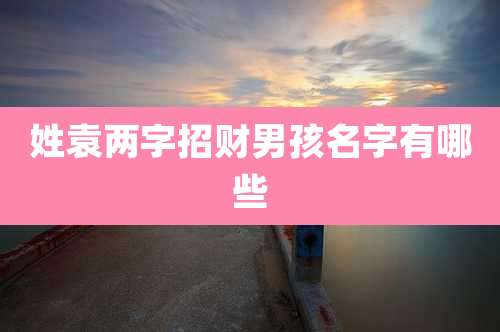 姓袁两字招财男孩名字有哪些