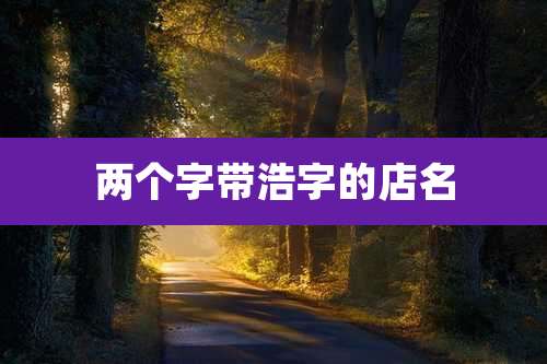 两个字带浩字的店名