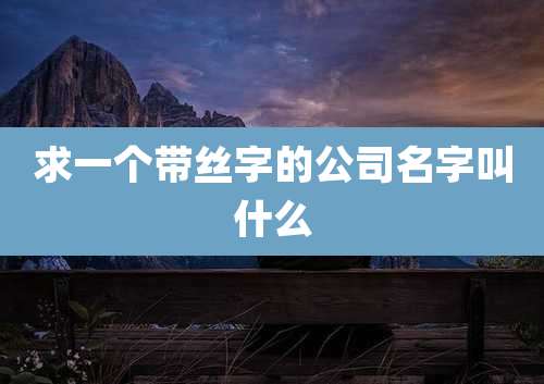 求一个带丝字的公司名字叫什么
