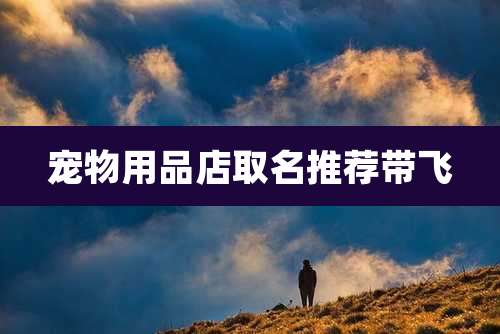 宠物用品店取名推荐带飞