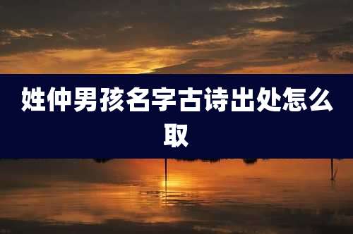 姓仲男孩名字古诗出处怎么取
