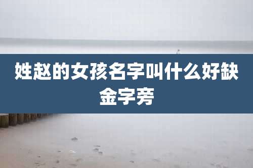 姓赵的女孩名字叫什么好缺金字旁