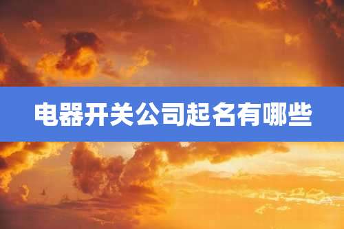 电器开关公司起名有哪些