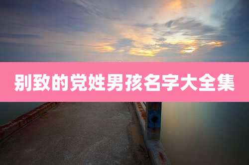 别致的党姓男孩名字大全集