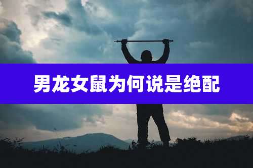 男龙女鼠为何说是绝配