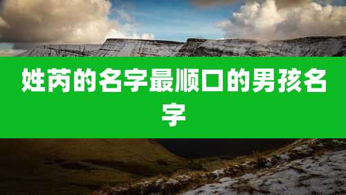 姓芮的名字最顺口的男孩名字