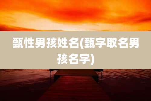 甄性男孩姓名(甄字取名男孩名字)