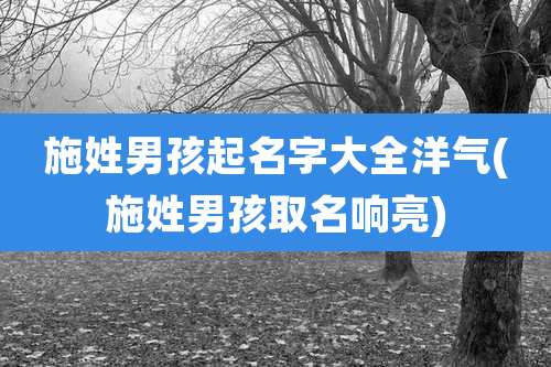 施姓男孩起名字大全洋气(施姓男孩取名响亮)