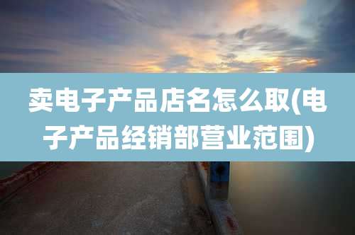 卖电子产品店名怎么取(电子产品经销部营业范围)