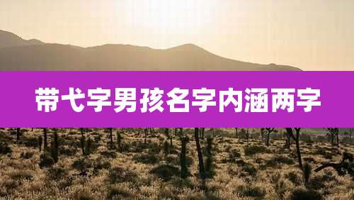 带弋字男孩名字内涵两字
