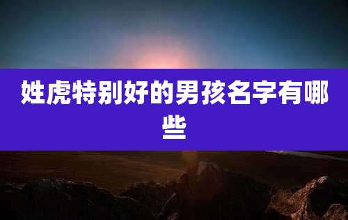 姓虎特别好的男孩名字有哪些