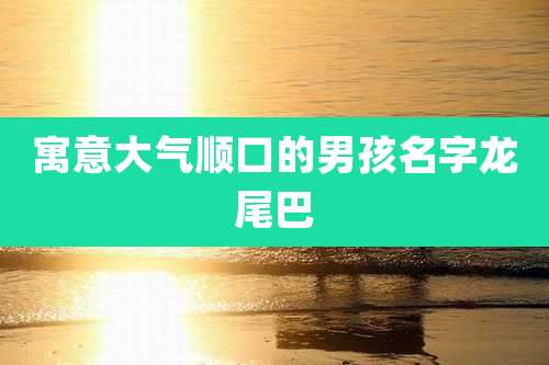 寓意大气顺口的男孩名字龙尾巴