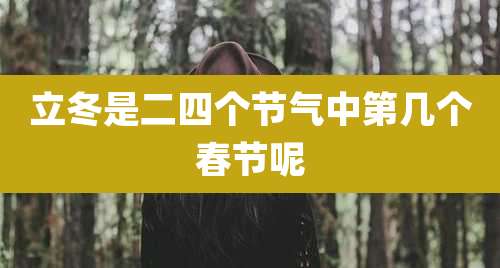 立冬是二四个节气中第几个春节呢