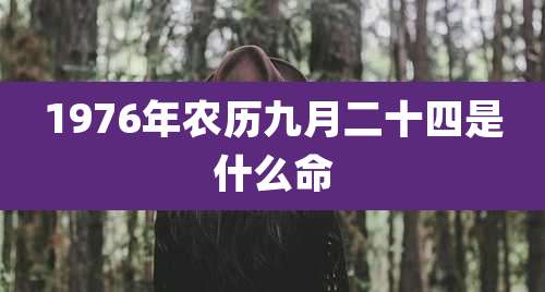 1976年农历九月二十四是什么命