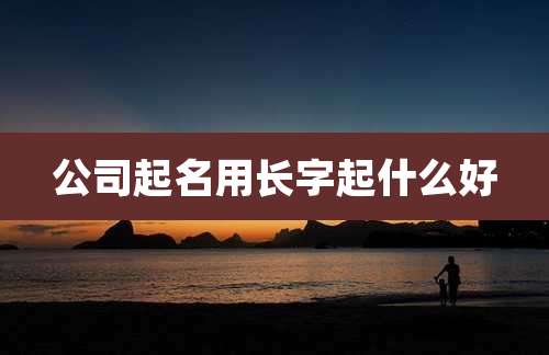 公司起名用长字起什么好