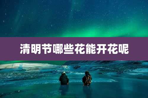 清明节哪些花能开花呢