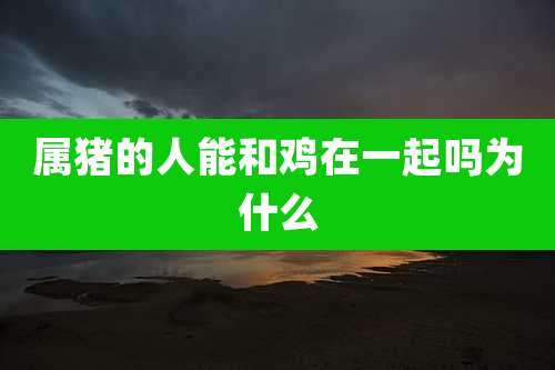 属猪的人能和鸡在一起吗为什么