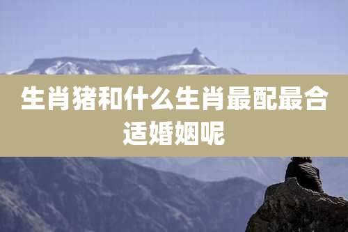 生肖猪和什么生肖最配最合适婚姻呢