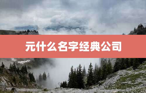 元什么名字经典公司