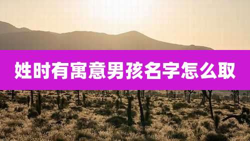 姓时有寓意男孩名字怎么取