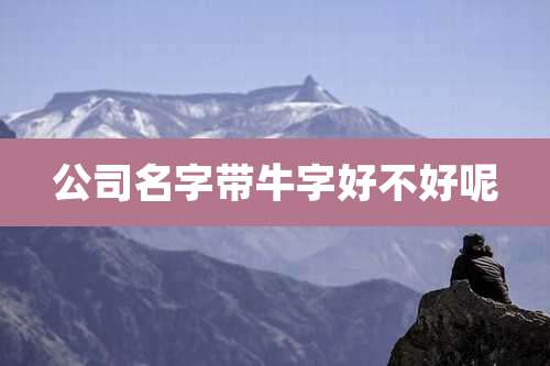 公司名字带牛字好不好呢
