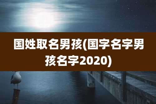 国姓取名男孩(国字名字男孩名字2020)