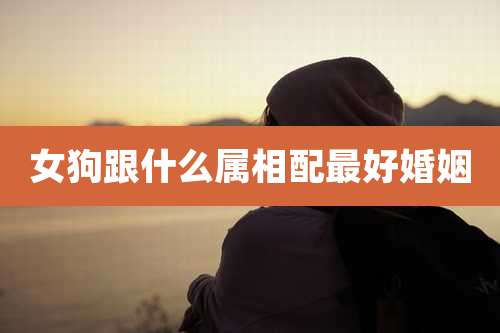 女狗跟什么属相配最好婚姻
