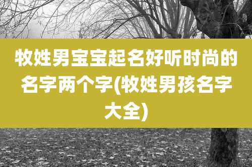 牧姓男宝宝起名好听时尚的名字两个字(牧姓男孩名字大全)