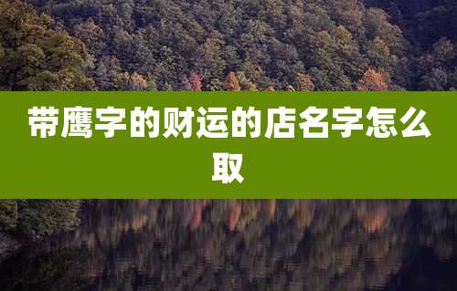 带鹰字的财运的店名字怎么取
