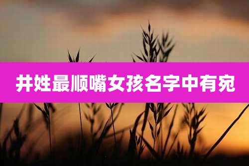 井姓最顺嘴女孩名字中有宛