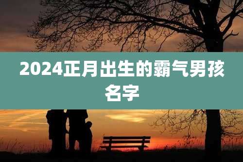 2024正月出生的霸气男孩名字