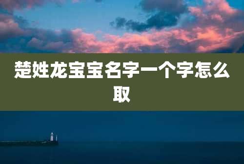 楚姓龙宝宝名字一个字怎么取