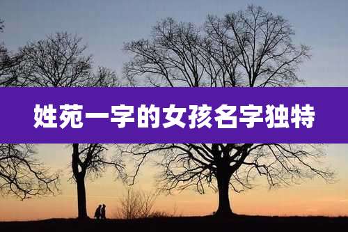 姓苑一字的女孩名字独特