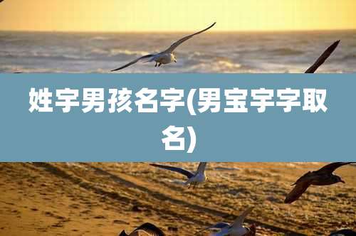 姓宇男孩名字(男宝宇字取名)