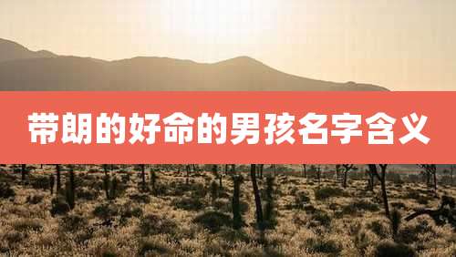 带朗的好命的男孩名字含义