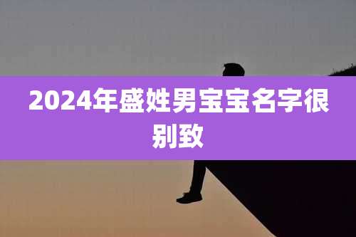 2024年盛姓男宝宝名字很别致