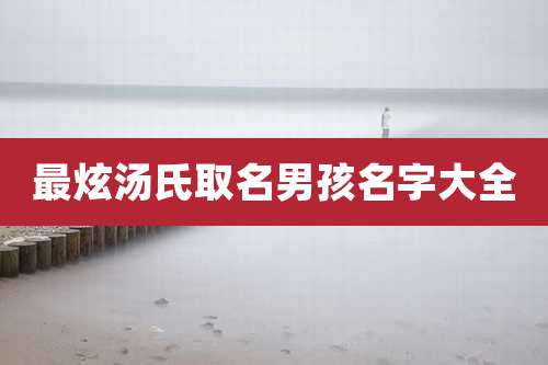 最炫汤氏取名男孩名字大全