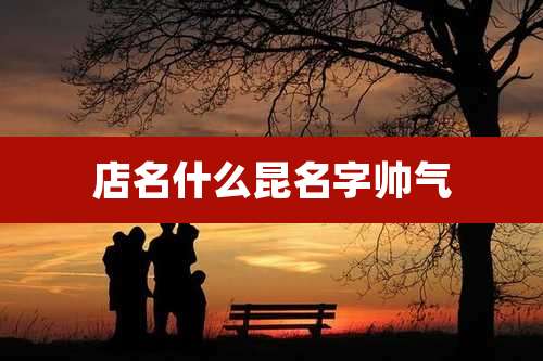 店名什么昆名字帅气