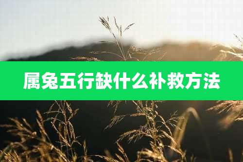 属兔五行缺什么补救方法