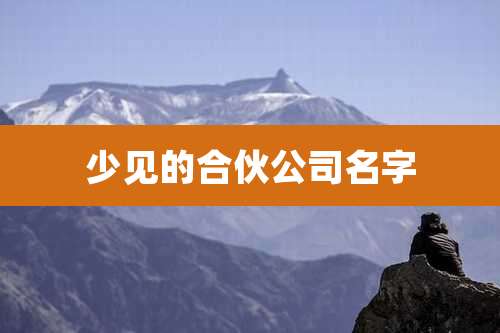 少见的合伙公司名字