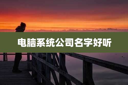 电脑系统公司名字好听