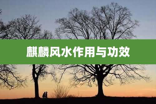 麒麟风水作用与功效