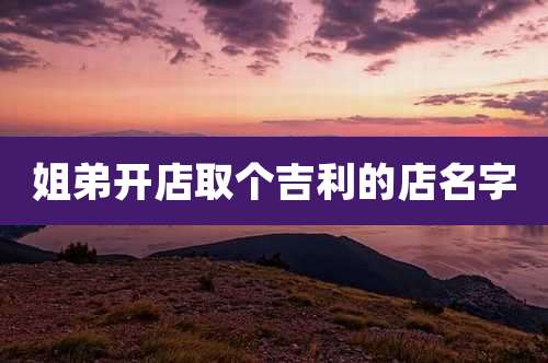 姐弟开店取个吉利的店名字