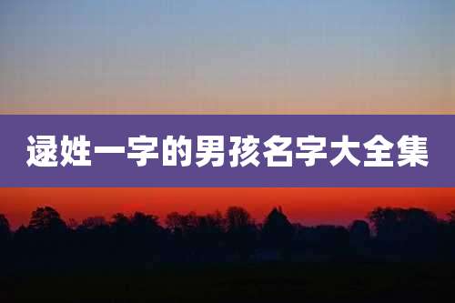 逯姓一字的男孩名字大全集