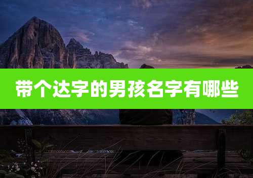 带个达字的男孩名字有哪些