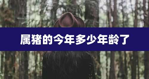 属猪的今年多少年龄了