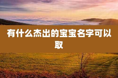 有什么杰出的宝宝名字可以取