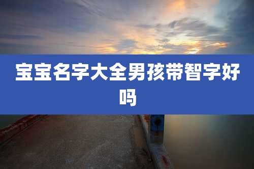宝宝名字大全男孩带智字好吗