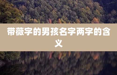 带薇字的男孩名字两字的含义